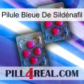 Pilule Bleue De Sildénafil 14